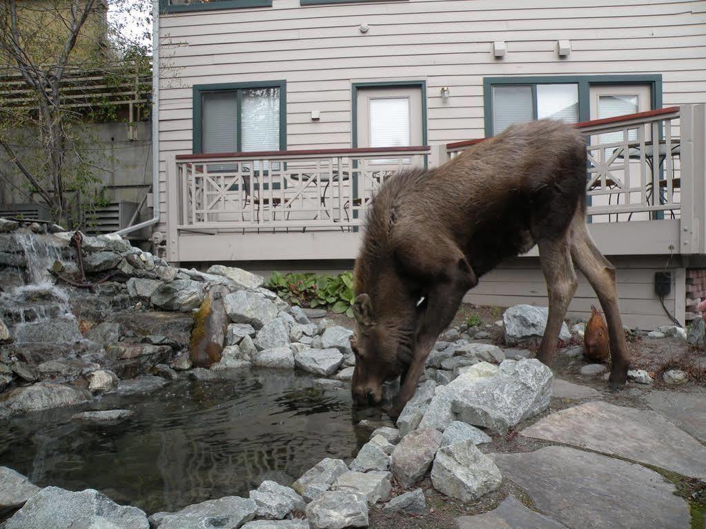 Copper Whale Inn Anchorage Luaran gambar